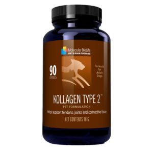 Kollagen Type 2 for Pets