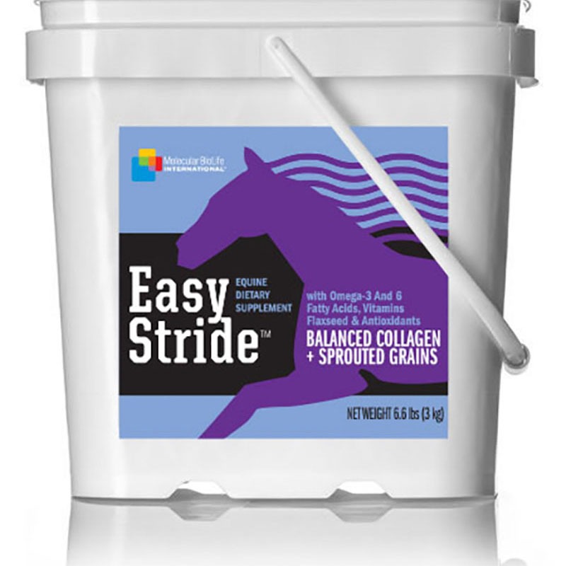 Easy Stride Molecular BioLife International